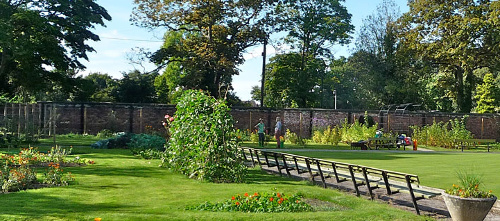 Longford Park - Community Allotment