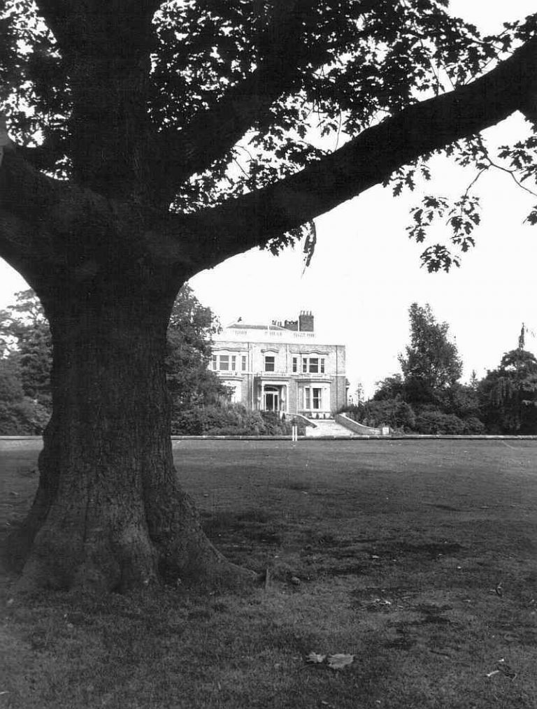 Grand Lawn 1970s - Oak Tree