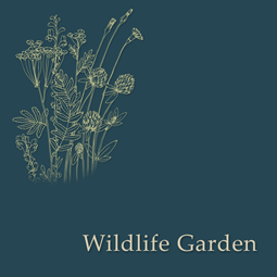 Wildlife Garden in Longford Park